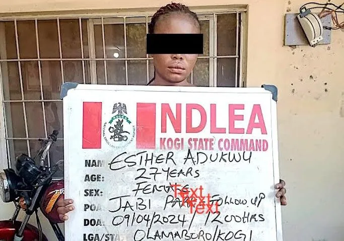 Pregnant woman, widow arrested over N3.2m counterfeit cash, lethal illicit substance